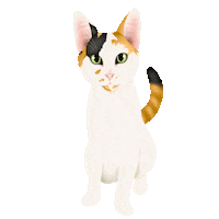 Kora The Cat Sticker by zoopeez
