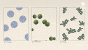 GIF by The Explainer Studio