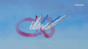 viceland GIF by MOST EXPENSIVEST