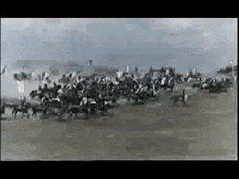 GIF by TVP.PL
