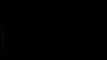 Merry Christmas Dance GIF by Bernardson