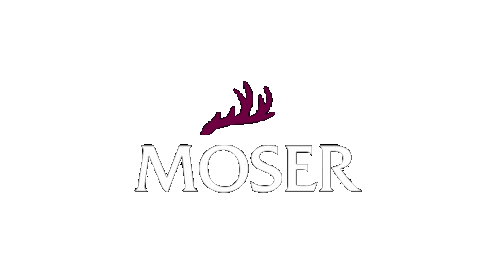 Moser_Trachten giphyupload giphystrobetesting Sticker