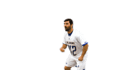 College Sports Ncaa Sticker by Delaware Blue Hens
