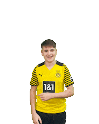 Happy Efootball Sticker by Borussia Dortmund