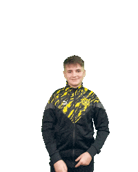 Fifa Efootball Sticker by Borussia Dortmund