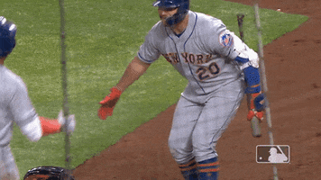 ny mets celebration GIF by New York Mets