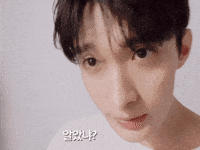 Dk 세븐틴 GIF