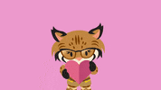 Cat Love GIF by AppExchange