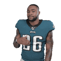 Philadelphia Eagles No Sticker by NFL