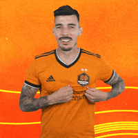 H Town Football GIF by Houston Dynamo FC