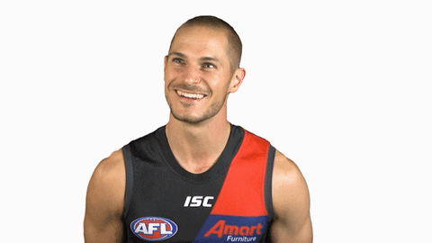 essendonfc giphyupload dons bombers essendon GIF