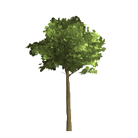 Steiermark Gruene Sticker by Die Grazer Grünen