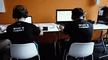 TOGfoxes together bootcamp Ulm weareone GIF
