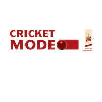 India Cricket Sticker by Royal Stag Live It Large