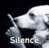 Silence Sush GIF