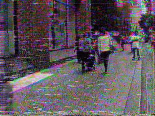 los angeles vhs GIF by Royal Smith