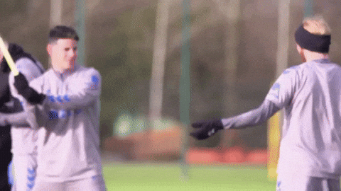 Sword Fight Everton Stickers GIF by Everton Football Club