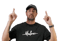 malosilures point pointing fishing click here Sticker