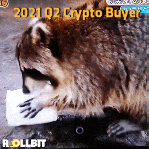 MAAManda giphyupload GIF