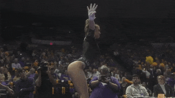 Happy Celebration GIF by LSU Tigers