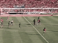 Colorado Inter GIF by Sport Club Internacional