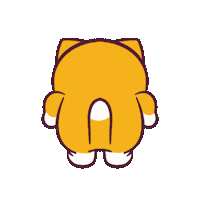 Cat Wtf Sticker by CATECOIN