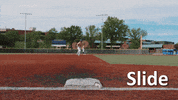 Baseball Slide GIF by ASL Connect