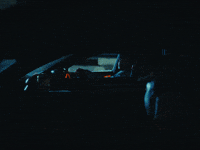 Brandnew GIF by SLANG