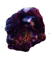 Funky Galileo Sticker by Sure Sure