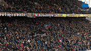 Premier League Fan GIF by MolaTV