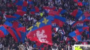 fans lyon GIF by Olympique Lyonnais