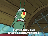 season 4 GIF by SpongeBob SquarePants