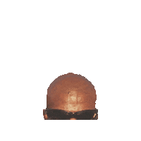 Ronnie Coleman Sticker by Ronnie Coleman Signature Series