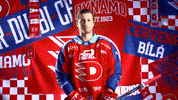 Daniel Gazda GIF by HC Dynamo Pardubice