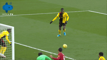 Liverpool Watford GIF by MolaTV