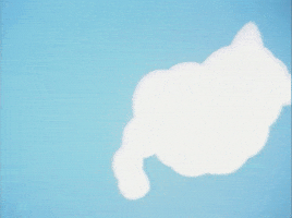 Cat cloud