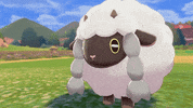 Pokemon Sword GIF by Pokémon