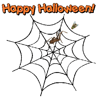 Halloween Spider Sticker