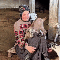 Doğa GIF
