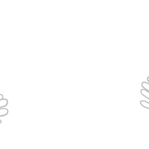luamarinho giphyupload flower bloom flor GIF