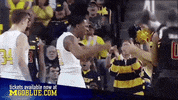 GIF by Michigan Athletics