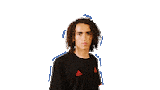 listen adidas soccer Sticker
