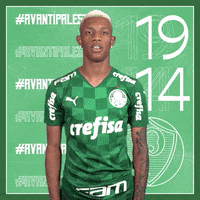 Soccer Futebol GIF by SE Palmeiras