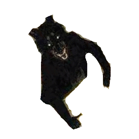 wolf STICKER by imoji