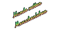 Einsatz Sticker by Österreichische Rettungshundebrigade
