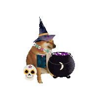 Halloween Spooky Season Sticker by Revicheems