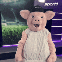 Celebration Yes GIF by SPORT1