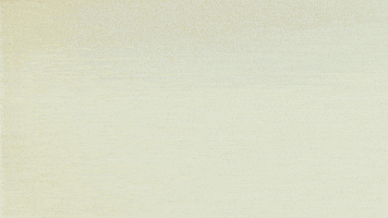 New York Megatron GIF by SLANG