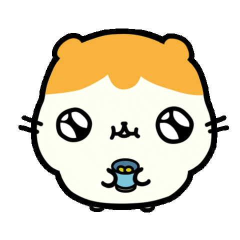 No Money Beg Sticker