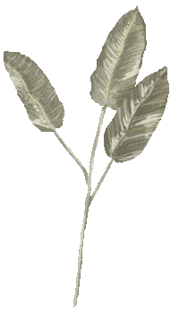 Plant Verde Sticker by Leohestudio
